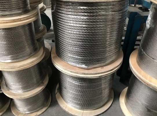 7*19 8mm 10mm 12mm 316 Stainless Steel Crane Wire Rope with Loop
