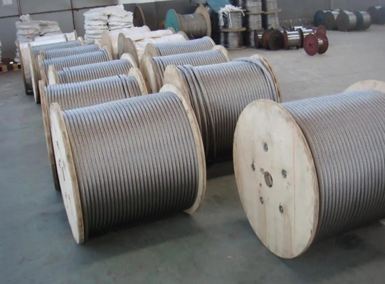 7*19 8mm 10mm 12mm 316 Stainless Steel Crane Wire Rope with Loop