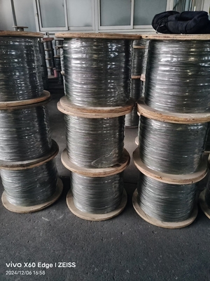 7*19 8mm 10mm 12mm 316 Stainless Steel Crane Wire Rope with Loop